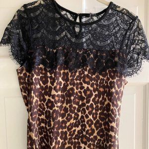 Ann Taylor Animal Print & Lace top